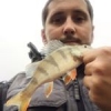 #peche #fish #fishing #perch #rockvibes #reins #waterismystadium #nokill #frenchtouchfishing #culturefish #theculturefish #illex #microjig #aude #france #wild #river #sun #winter