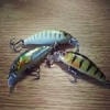 For french trout man #illex #chubby #theculturefish