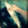 Fermeture 2015 #win #beautiful #trout #fario #rigge #deep56 #chéran #rumilly #catchandrelease #nokill #sauvage #THECULTUREFISH