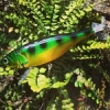 Le #triggerfish de #thinktank idéal pour longer les bordures, pour pêcher sous les frondaisons car Il nage sur le côté !!! 116mm - 16,5g  Le tester c'est l'adopter #fishing #peche #bass #perche #perch #theculturefish