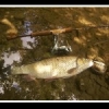 Y'a rien la? 46cm. La pêche c'est pour la vie!  #fishing #inyourfacemotherfucker #cmbdtc